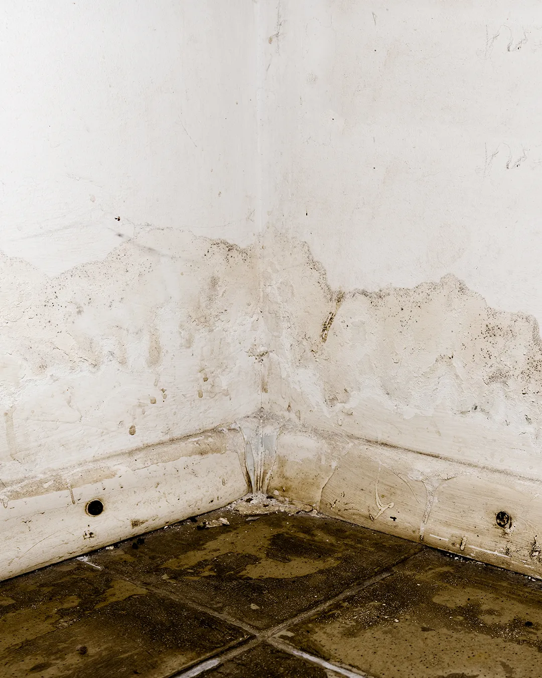 Penetrating Damp Damage Cape Damp Specialist